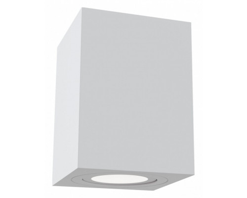 Накладной светильник Maytoni Alfa C017CL-01W