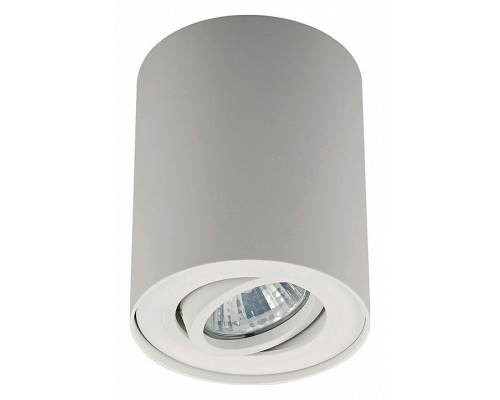 Накладной светильник Zumaline Rondoo 20038-WH