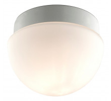 Накладной светильник Odeon Light Minkar 2443/1B