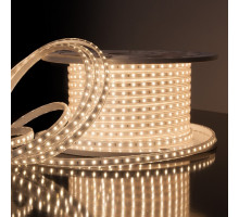 Шнур световой Elektrostandard LS011 a041108