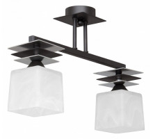 Светильник на штанге Vitaluce V4232 V4232/2PL