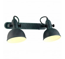 Спот Arte Lamp Martin A5213AP-2BG