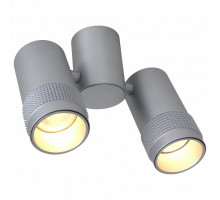 Спот Favourite Kinescope 2454-2U