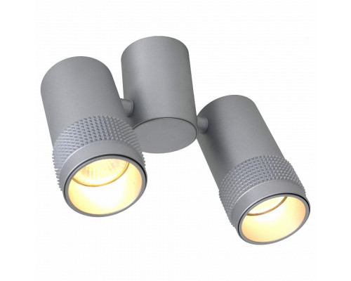 Спот Favourite Kinescope 2454-2U