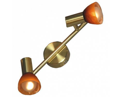 Спот Lussole Leggero