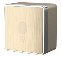 Розетка для вывод кабеля Werkel Gallant (шампань рифленый) WL15-16-01