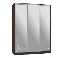 Шкаф-купе Бассо 4-600 цветы 2