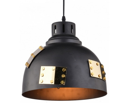 Подвесной светильник Arte Lamp Eurica A6024SP-1BK