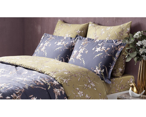 Постельное белье евростандарт TERRA