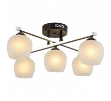 Потолочная люстра Hiper Parma H019-5