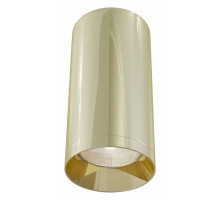 Накладной светильник Maytoni Alfa C010CL-01G