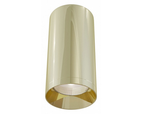 Накладной светильник Maytoni Alfa C010CL-01G