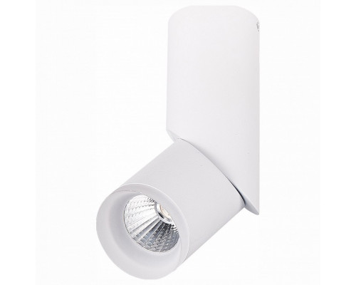 Спот ST-Luce Tortelle