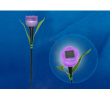 Наземный низкий светильник Uniel Tulip USL-C-453/PT305 PURPLE TULIP