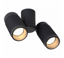 Спот Favourite Kinescope 2452-2U