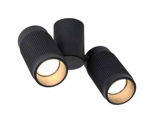 Спот Favourite Kinescope 2452-2U