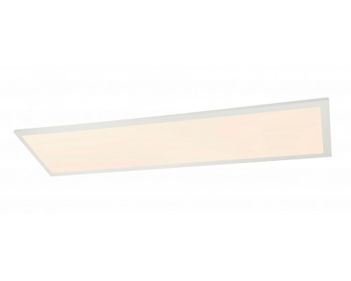 Накладной светильник Globo Rosi 41604D4F