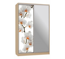 Шкаф-купе Рио 9-600 83