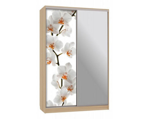 Шкаф-купе Рио 9-600 83