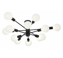 Люстра на штанге EVOLUCE Ano SL419.402.12