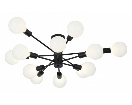 Люстра на штанге EVOLUCE Ano SL419.402.12