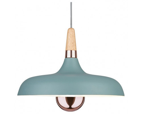 Подвесной светильник Paulmann Juna 79655