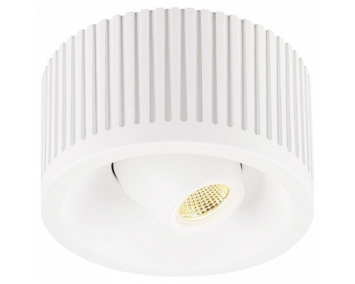 Накладной светильник SLV Occuildas 117361