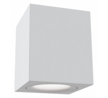 Накладной светильник Maytoni Alfa C013CL-01W