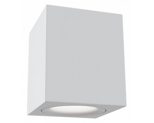 Накладной светильник Maytoni Alfa C013CL-01W