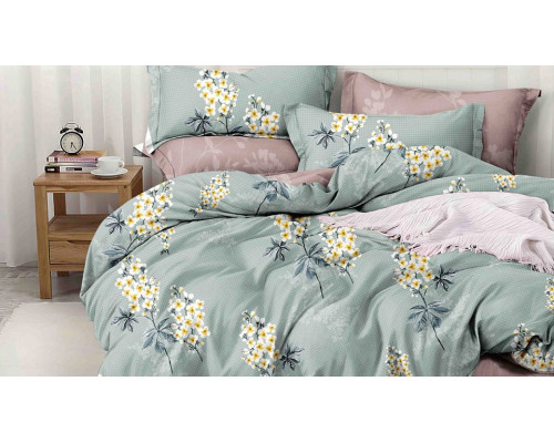 Постельное белье семейное Pure Cotton 192-PC