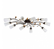 Потолочная люстра DeMarkt Восторг 1 242015410