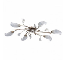 Потолочная люстра MW-Light Восторг 19 242016306