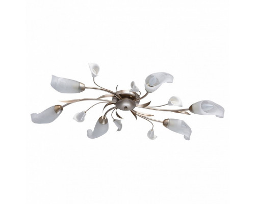 Потолочная люстра MW-Light Восторг 19 242016306
