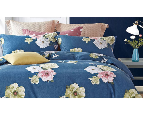 Постельное белье евростандарт Шанти