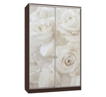 Шкаф-купе Рио 7-600 розы