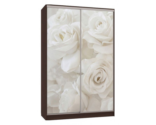 Шкаф-купе Рио 7-600 розы