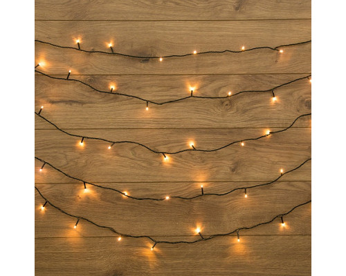 Гирлянда Нить (10 м) Твинкл-лайт Home 303-046