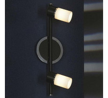 Спот Lussole Siliqua 