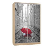 Шкаф-купе Гранд 7-600 08