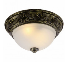 Накладной светильник Arte Lamp Piatti A8010PL-2AB