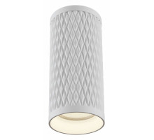 Накладной светильник Maytoni Alfa C036CL-01W