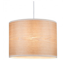 Подвесной светильник Paulmann Neta 79630