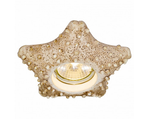 Встраиваемый светильник Arte Lamp Pezzi A5296PL-1WC