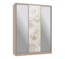 Шкаф-купе Бассо 9-600 розы