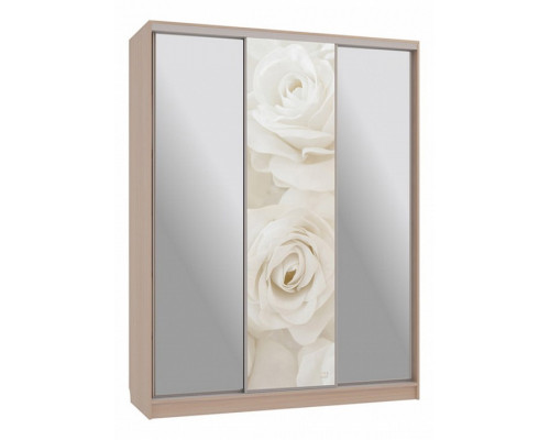 Шкаф-купе Бассо 9-600 розы