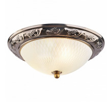 Накладной светильник Arte Lamp Alta A3019PL-2AB