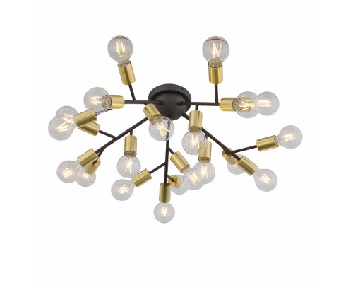 Потолочная люстра ST-Luce Foglione