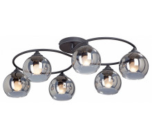 Потолочная люстра Vitaluce  V4965-1/6PL