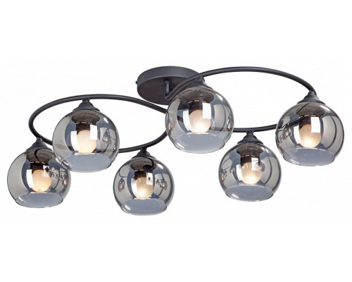 Потолочная люстра Vitaluce  V4965-1/6PL