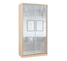 Шкаф-купе Рио 4-600 бабочки